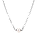 Dainty rhodium-plated silver chain necklace with centered 10mm freshwater pearl and crystal accents on cream background