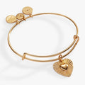 ALEX AND ANI — Heartburst Charm Bangle
