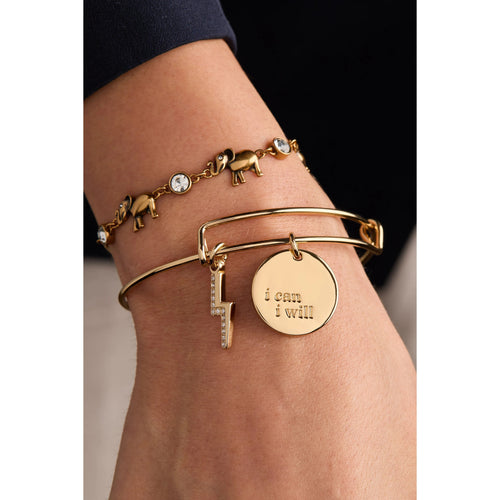 ALEX AND ANI — “I Can, I Will” Duo Charm Bangle
