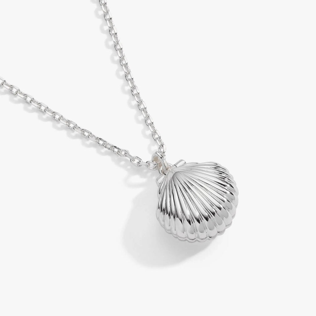 ALEX AND ANI — Salt + Sea 'Seashells Are Love Letters In The Sand' Seashell Locket Pendant