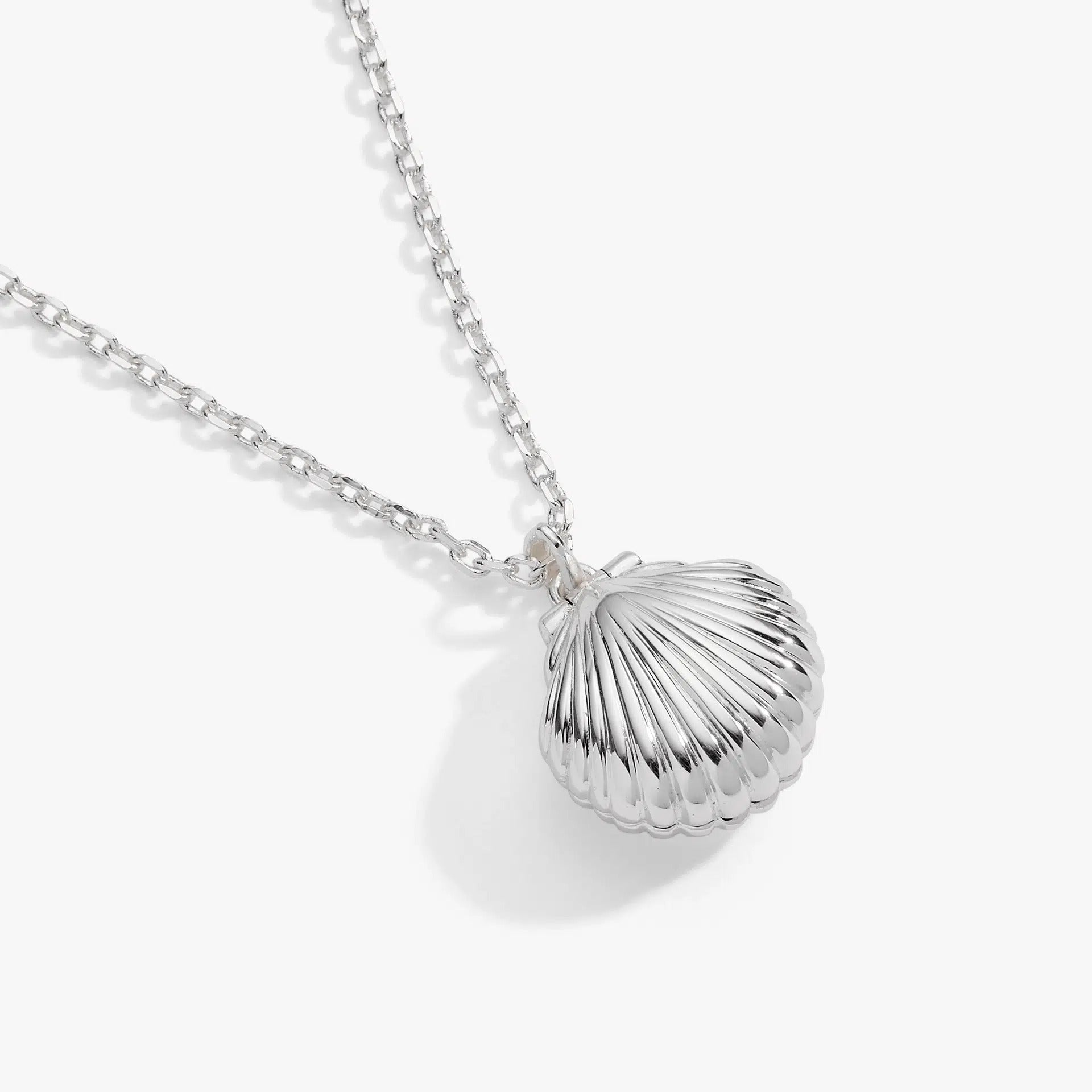 ALEX AND ANI — Salt + Sea 'Seashells Are Love Letters In The Sand' Seashell Locket Pendant