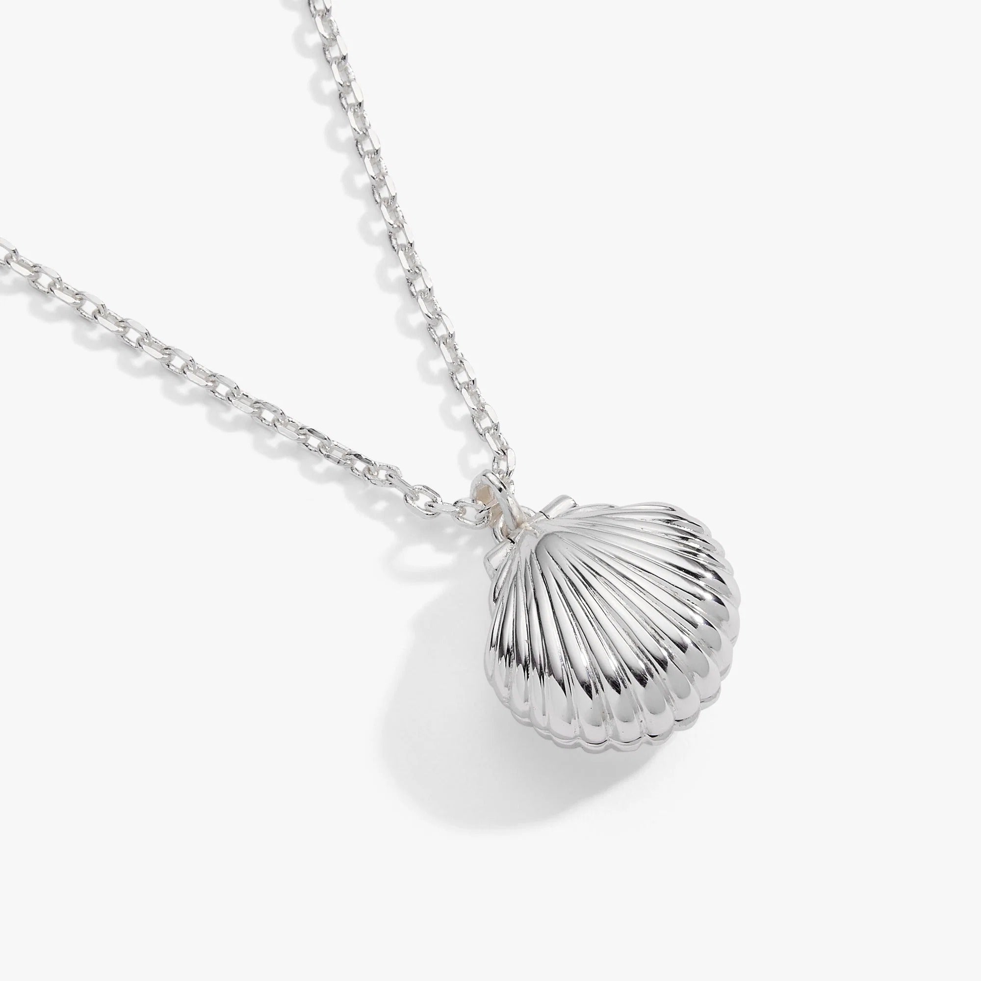 ALEX AND ANI — Salt + Sea 'Seashells Are Love Letters In The Sand' Seashell Locket Pendant