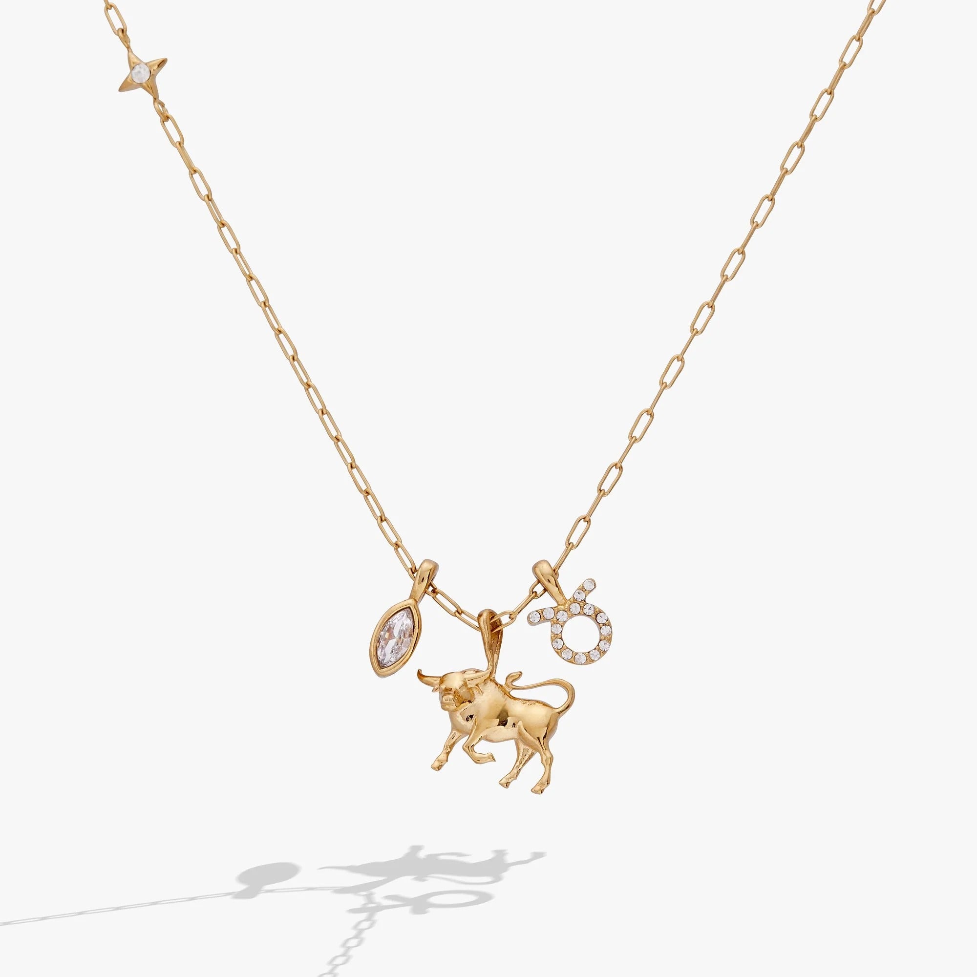 ALEX AND ANI — Taurus Zodiac Charm Cluster Necklace