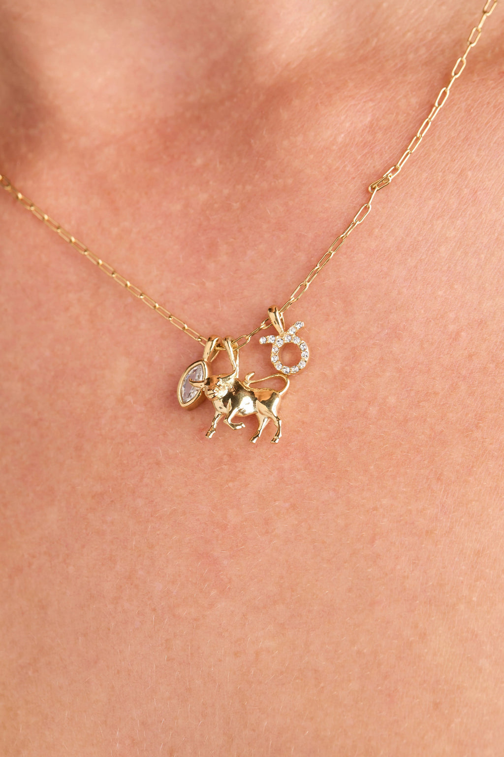 ALEX AND ANI — Taurus Zodiac Charm Cluster Necklace