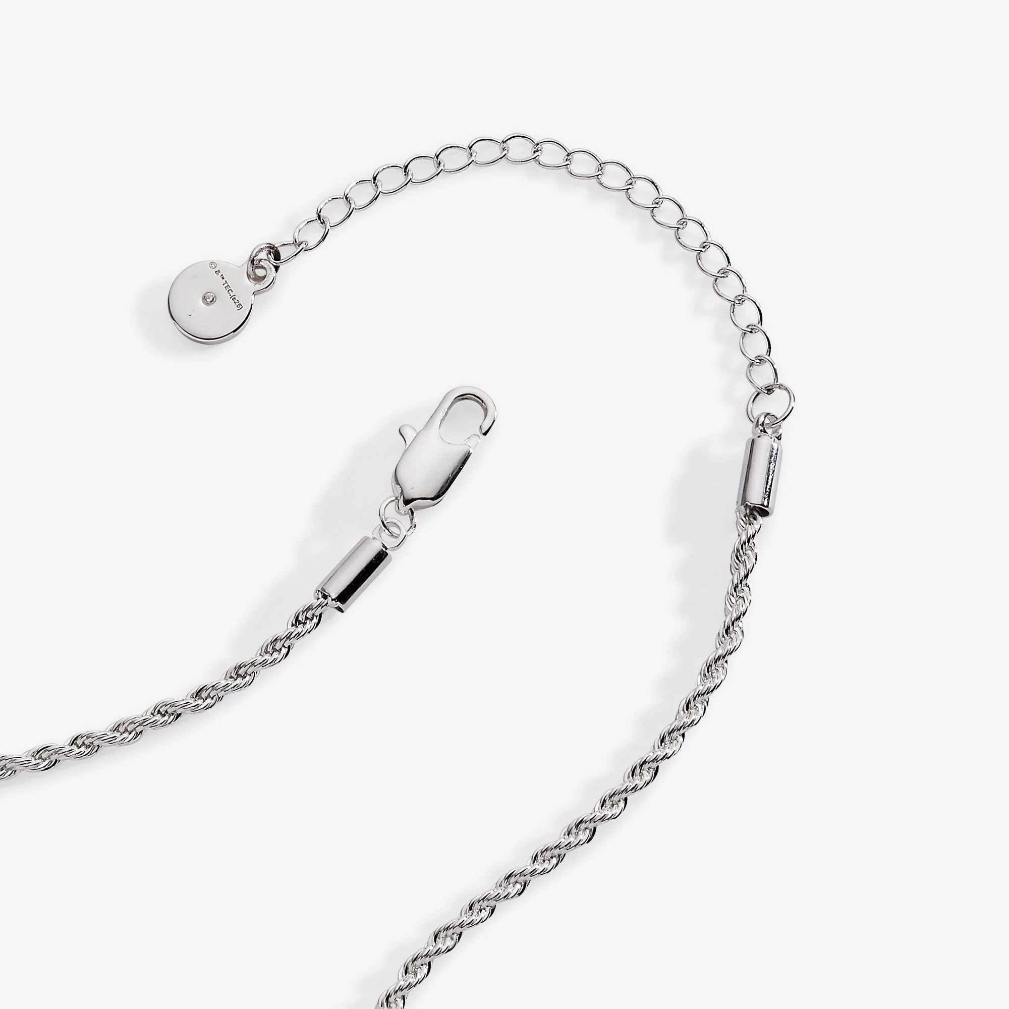 ALEX AND ANI — The Wizard of Oz™ Wicked Witch Charm Pendant