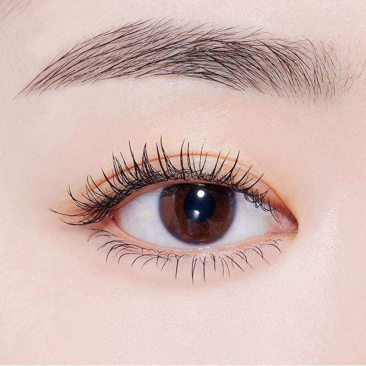 Etudehouse — [Etudehouse] Curl Fix Mascara 8g -01 Black