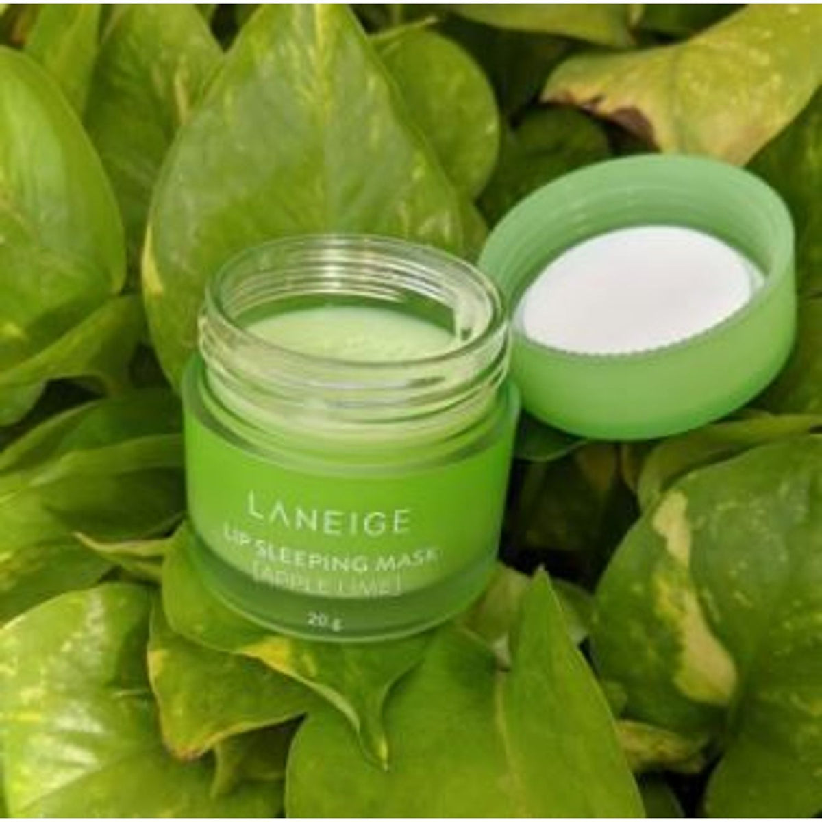 Laneige — [Laneige] Lip Sleeping Mask EX 20g - Apple Lime