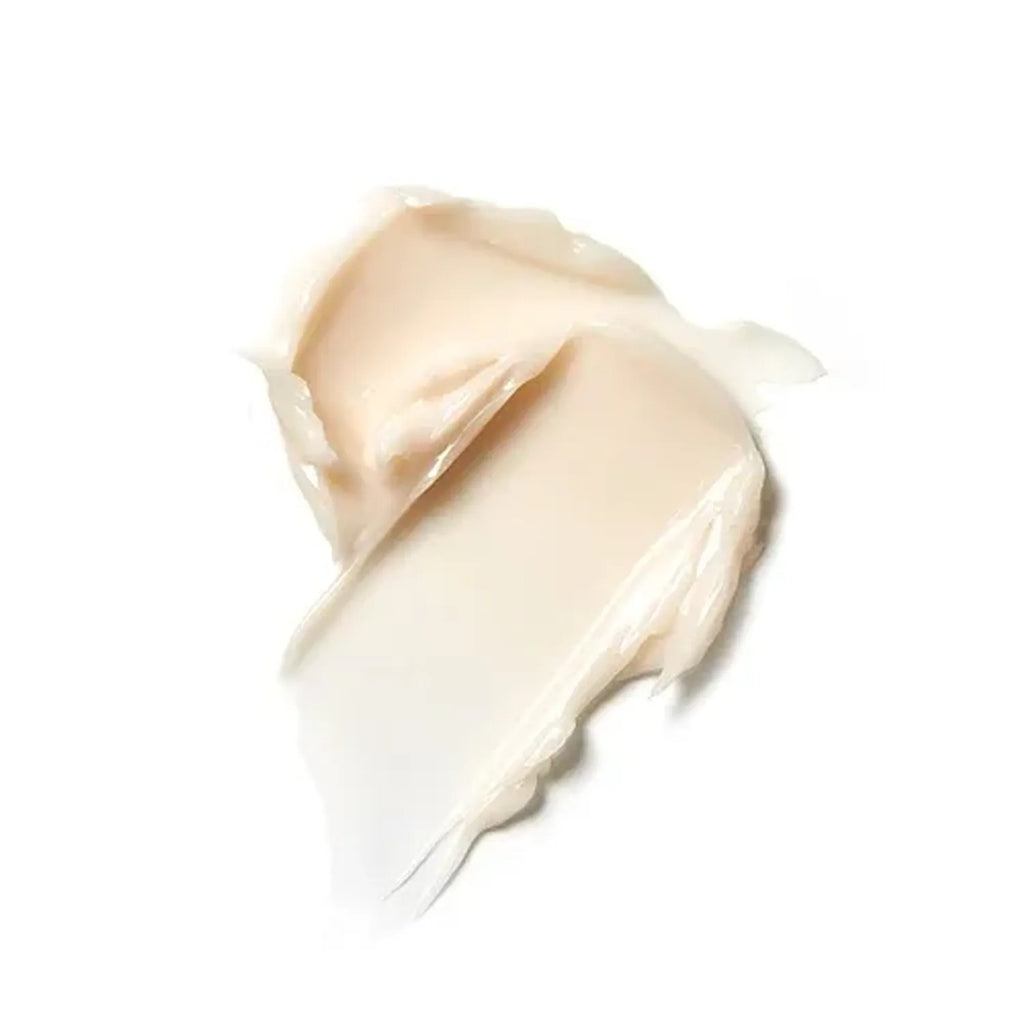 MISSHA — MISSHA Time Revolution Primestem100 Eye Cream 25ml - Korean Skin Care
