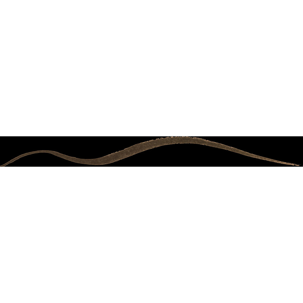 Unleashia — Unleashia Non Stop Liquid Eyeliner - i’m a 30-year-old working mom. how do olay moisturizers perform compared to l’oréal’s skincare line?